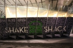 shake2