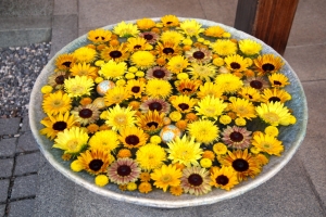 gyoda_jinja_hanatemizu