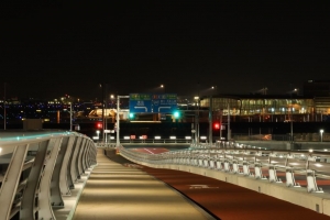 tamagawa_skybridge12